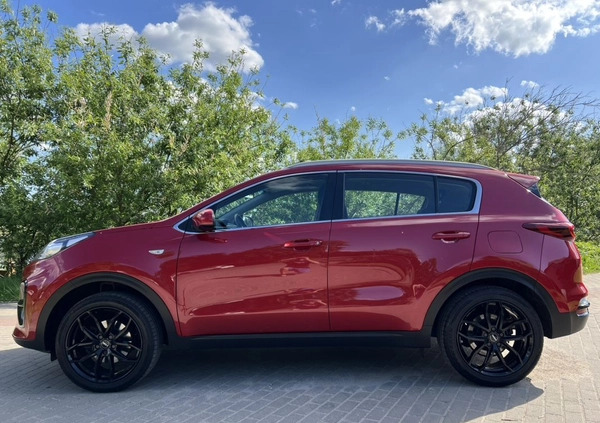 Kia Sportage cena 77990 przebieg: 124000, rok produkcji 2019 z Bełżyce małe 704